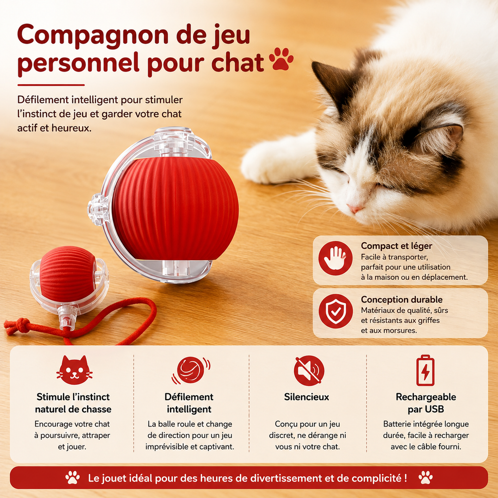 Balle Interactive Automatique pour Chat - Queue Factice, Rechargeable
