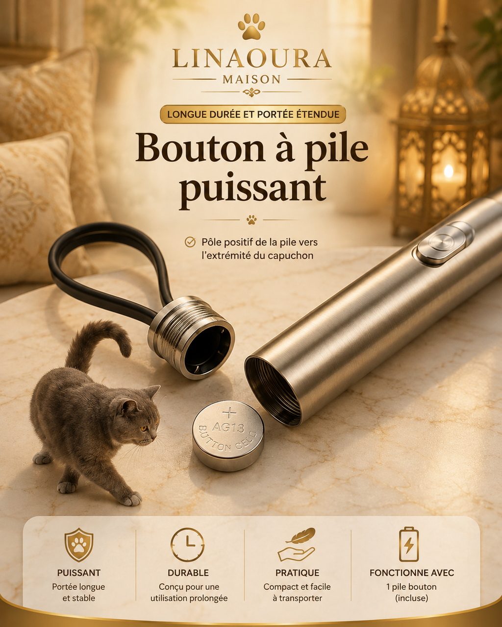 Stylo Laser Chat Multi-Motifs - Jouet Interactif Infrarouge