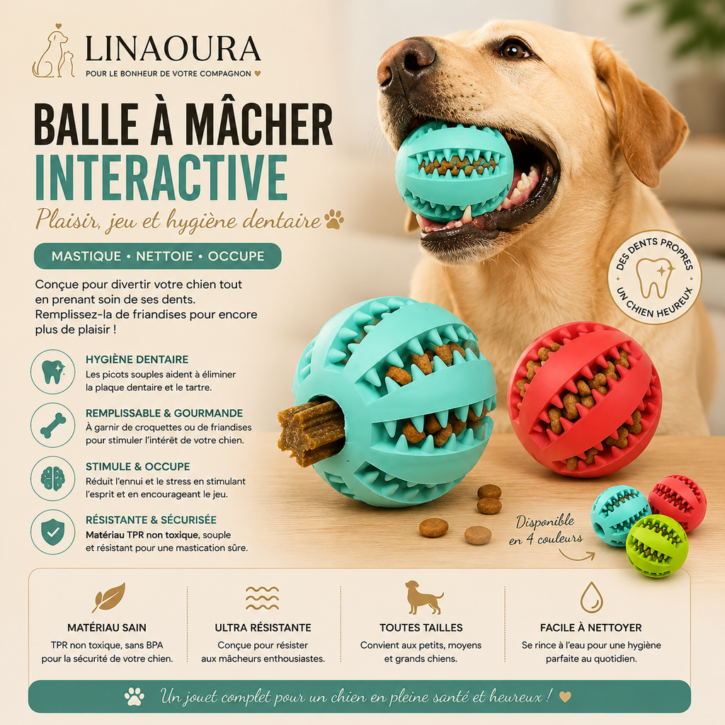🦴 Balle à Mâcher pour Chien