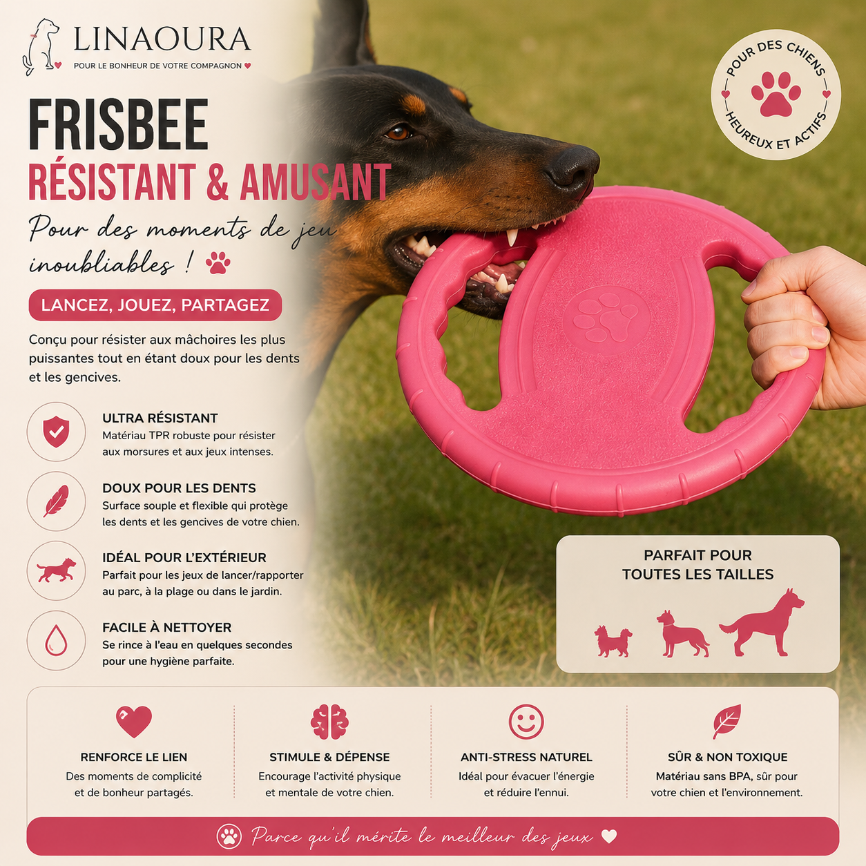 🥏 Disque Volant EVA Résistant pour Chien – Jouet Souple Indestructible