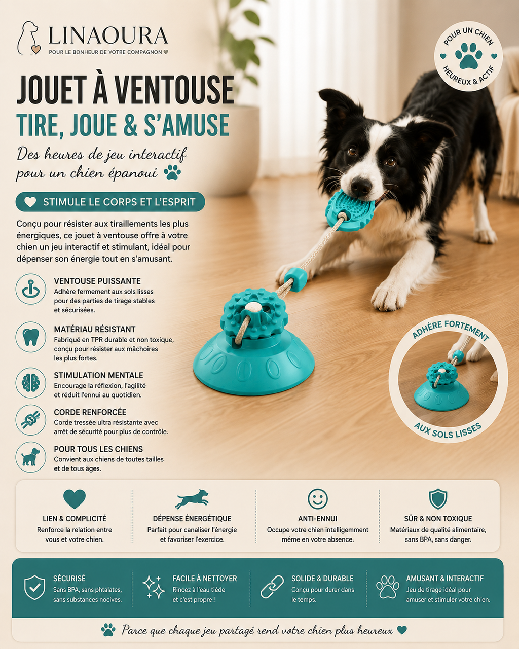 🎾 Jouet à Ventouse pour Chien