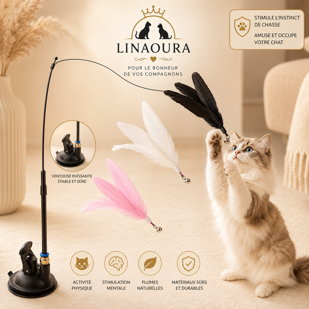 🐈 Canne à Pêche pour Chat avec Ventouse – Jouet Interactif Plume & Grelot