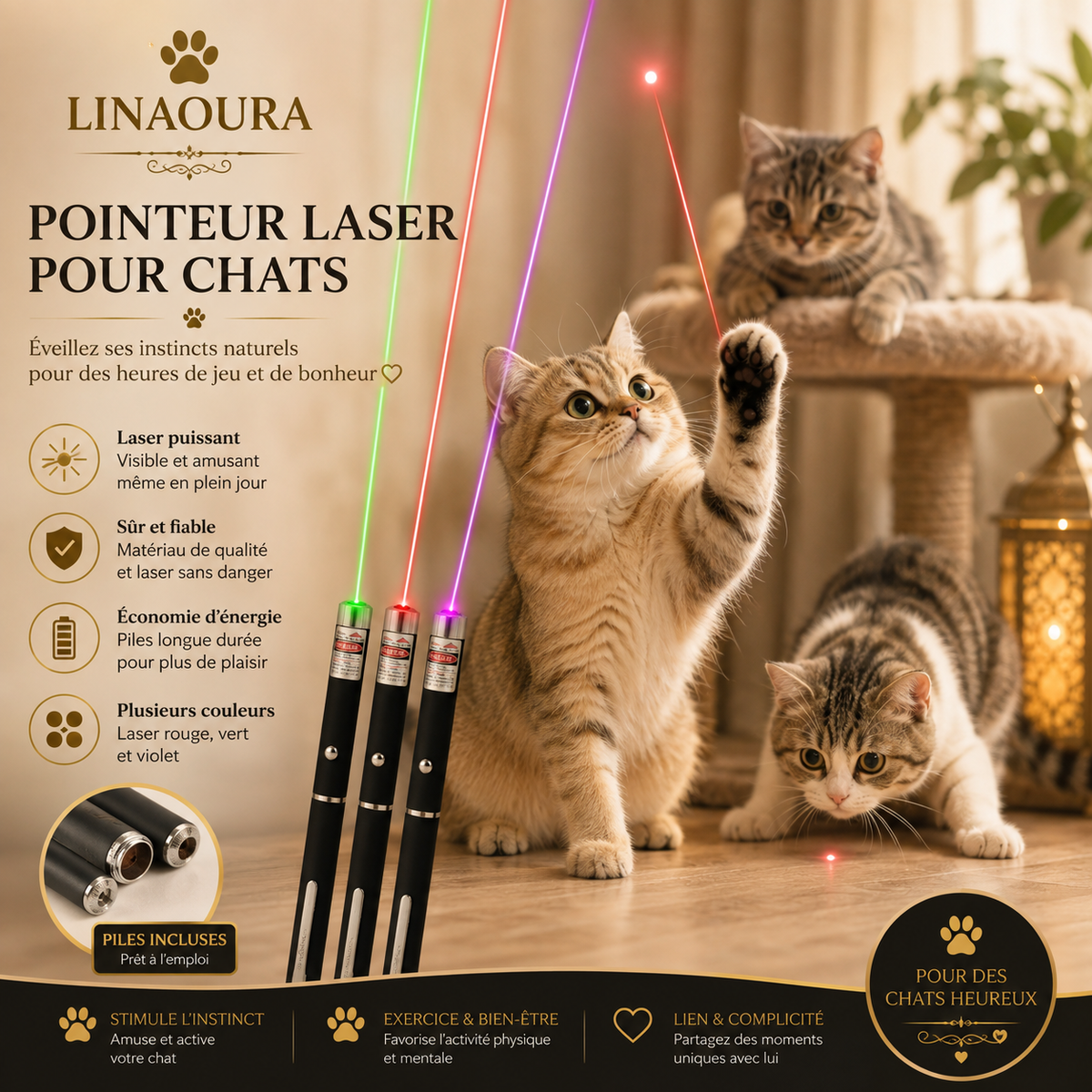 Pointeur Laser LED pour Chat, Rouge/Violet/Vert