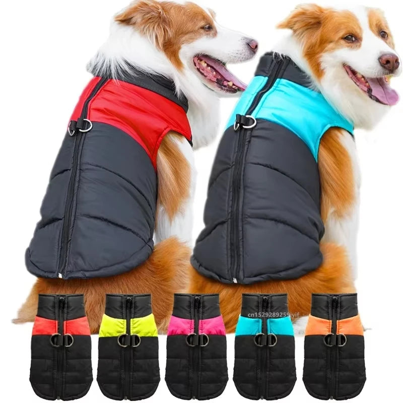 Manteau Imperméable et Chaud pour Chien – Protection Hiver & Pluie