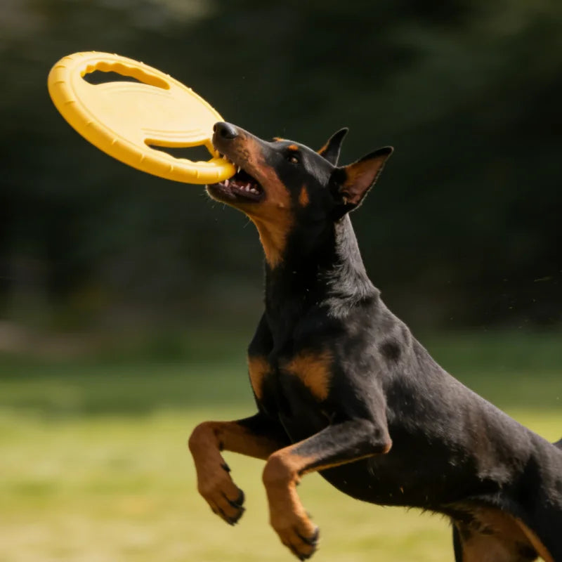 🥏 Disque Volant EVA Résistant pour Chien