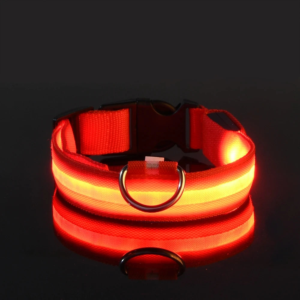 Collier LED Lumineux pour Chien – Visible jusqu'à 500 m