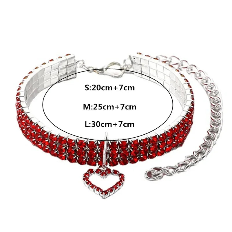 Chat portant le collier strass premium
