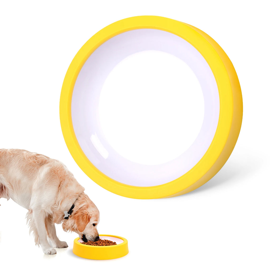 🐶 Gamelle Anti-Glouton pour Chien – Des repas plus lents, une meilleure digestion