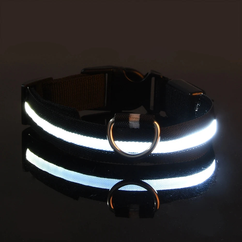 Collier LED Lumineux pour Chien – Visible jusqu'à 500 m