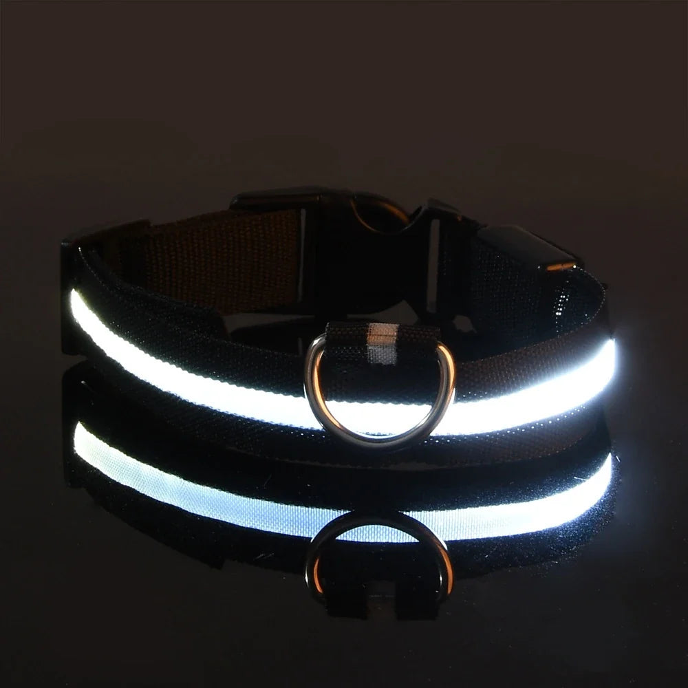 Collier LED lumineux pour chien