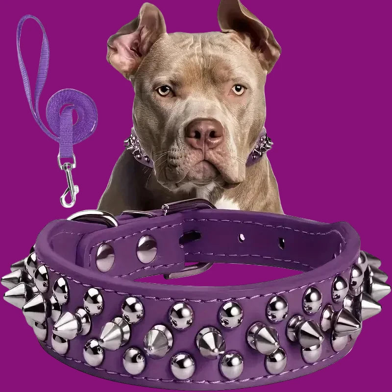 Ensemble Collier et Laisse Cloutés pour Chien - Cuir Réglable