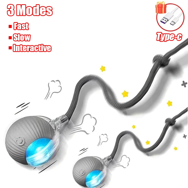 Automatic Interactive Cat Ball - Fake Tail, Rechargeable