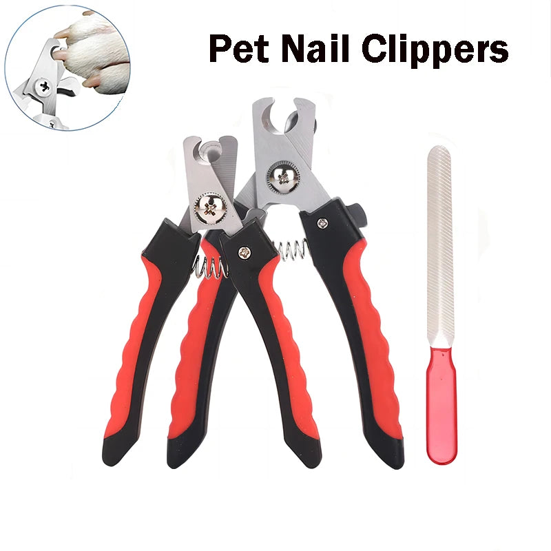 ✂️ Coupe-Griffes Inox pour Chien & Chat