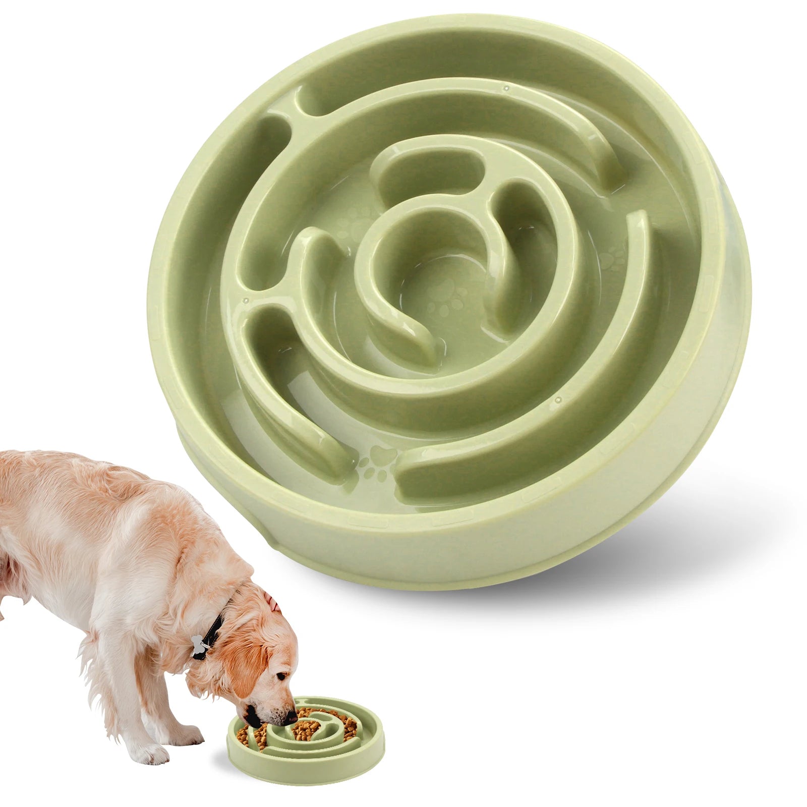 🐶 Gamelle Anti-Glouton pour Chien – Des repas plus lents, une meilleure digestion