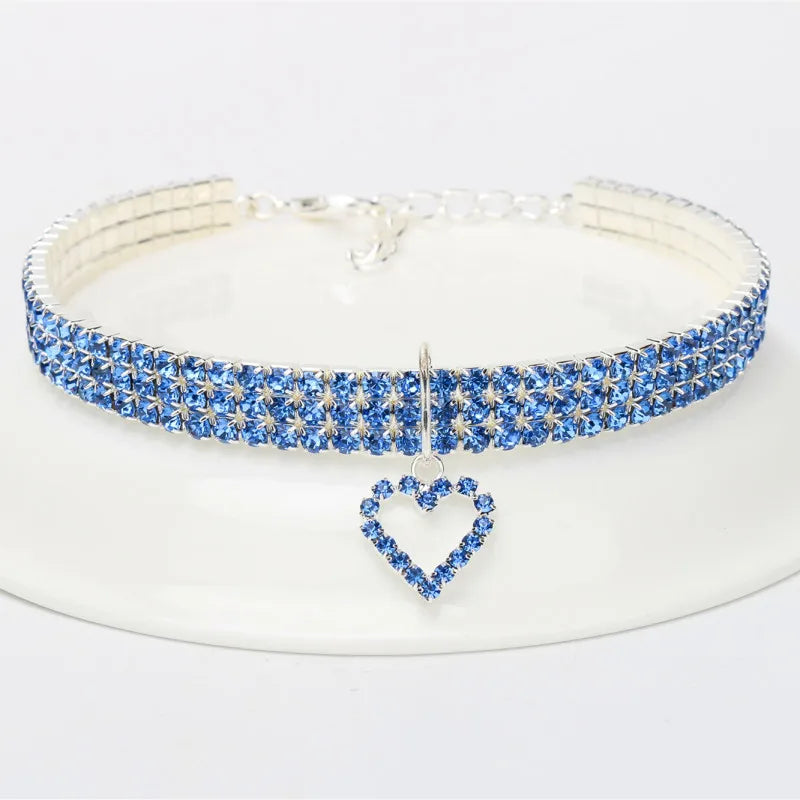 Chien portant le collier strass premium