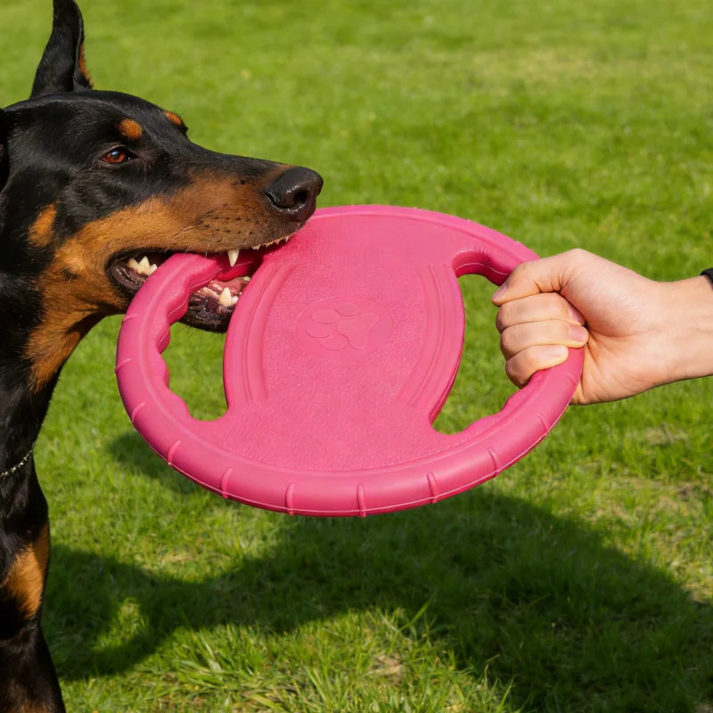 🥏 Disque Volant EVA Résistant pour Chien