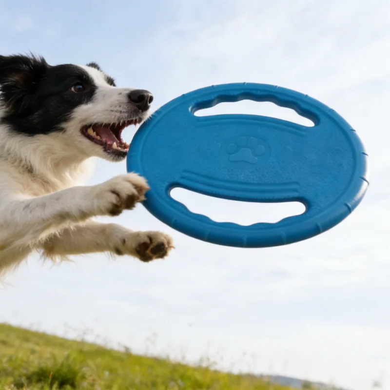 🥏 Disque Volant EVA Résistant pour Chien