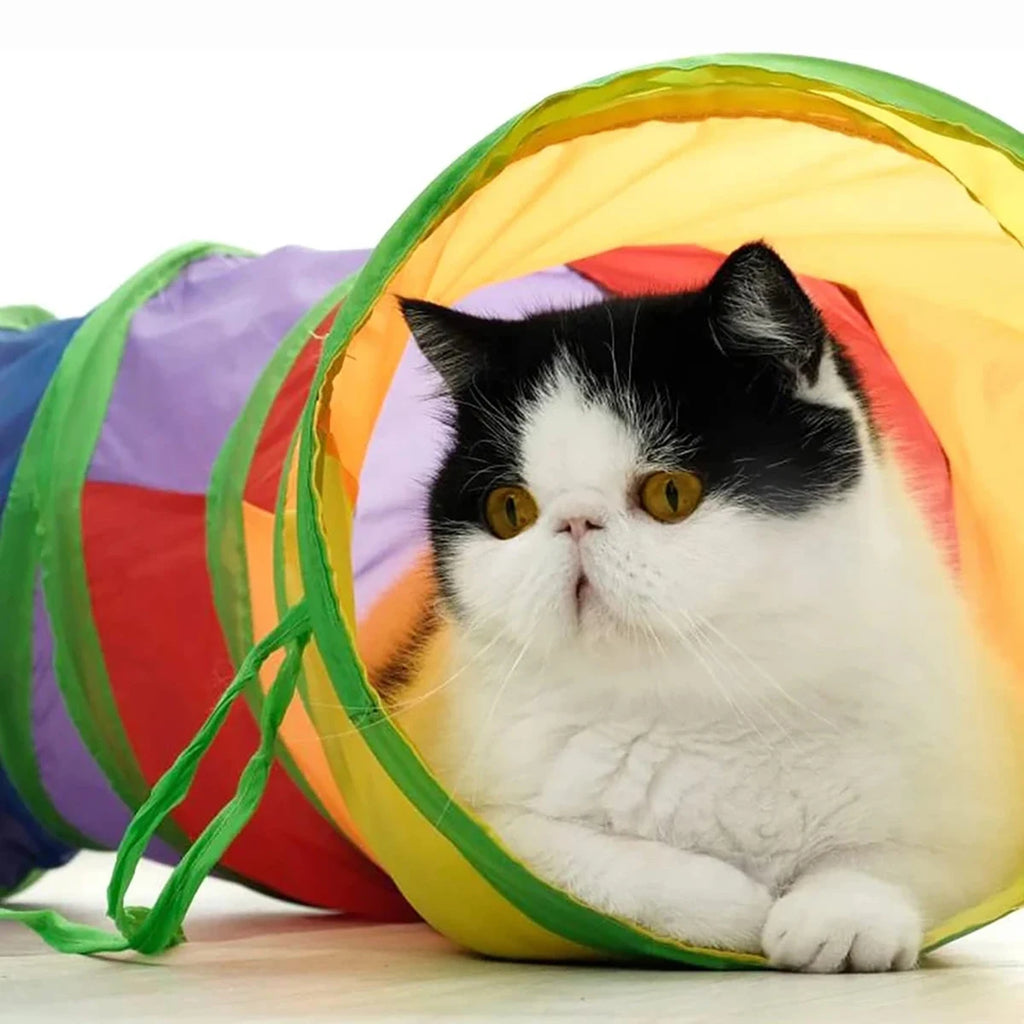 Tunnel de Jeu Pliable pour Chat - Jouet Interactif avec Balle