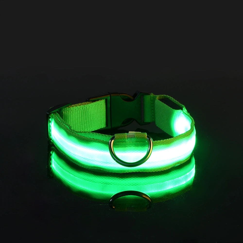 Collier LED Lumineux pour Chien – Visible jusqu'à 500 m