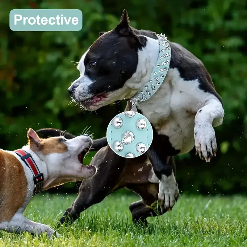 Ensemble Collier et Laisse Cloutés pour Chien - Cuir Réglable