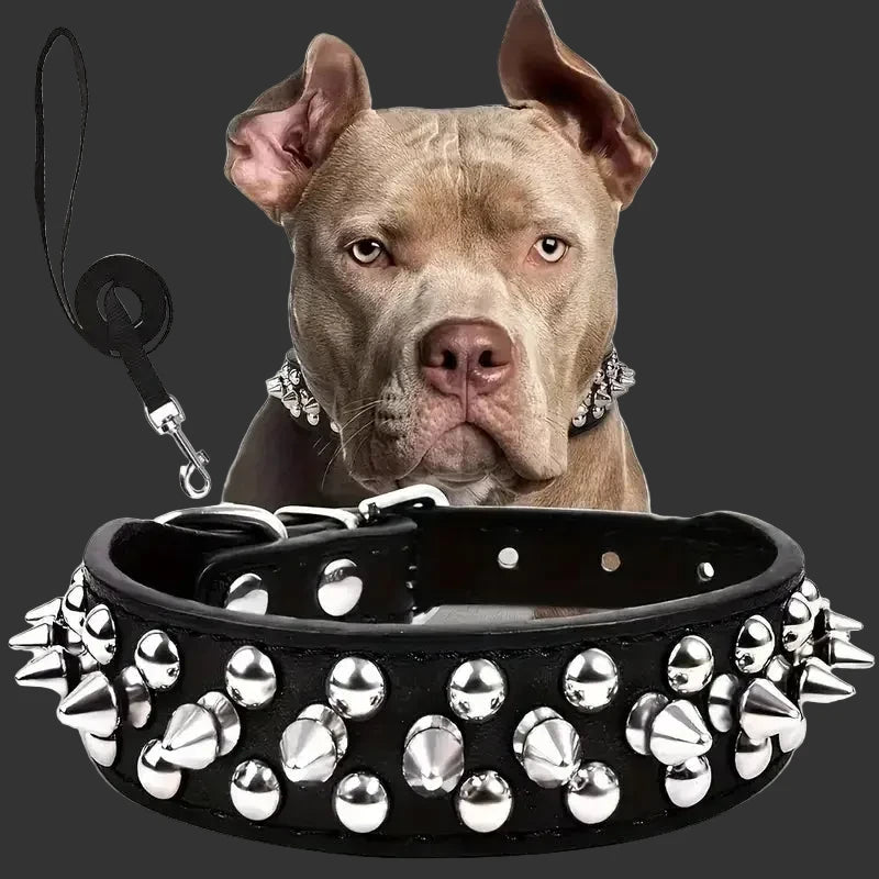 Ensemble Collier et Laisse Cloutés pour Chien - Cuir Réglable