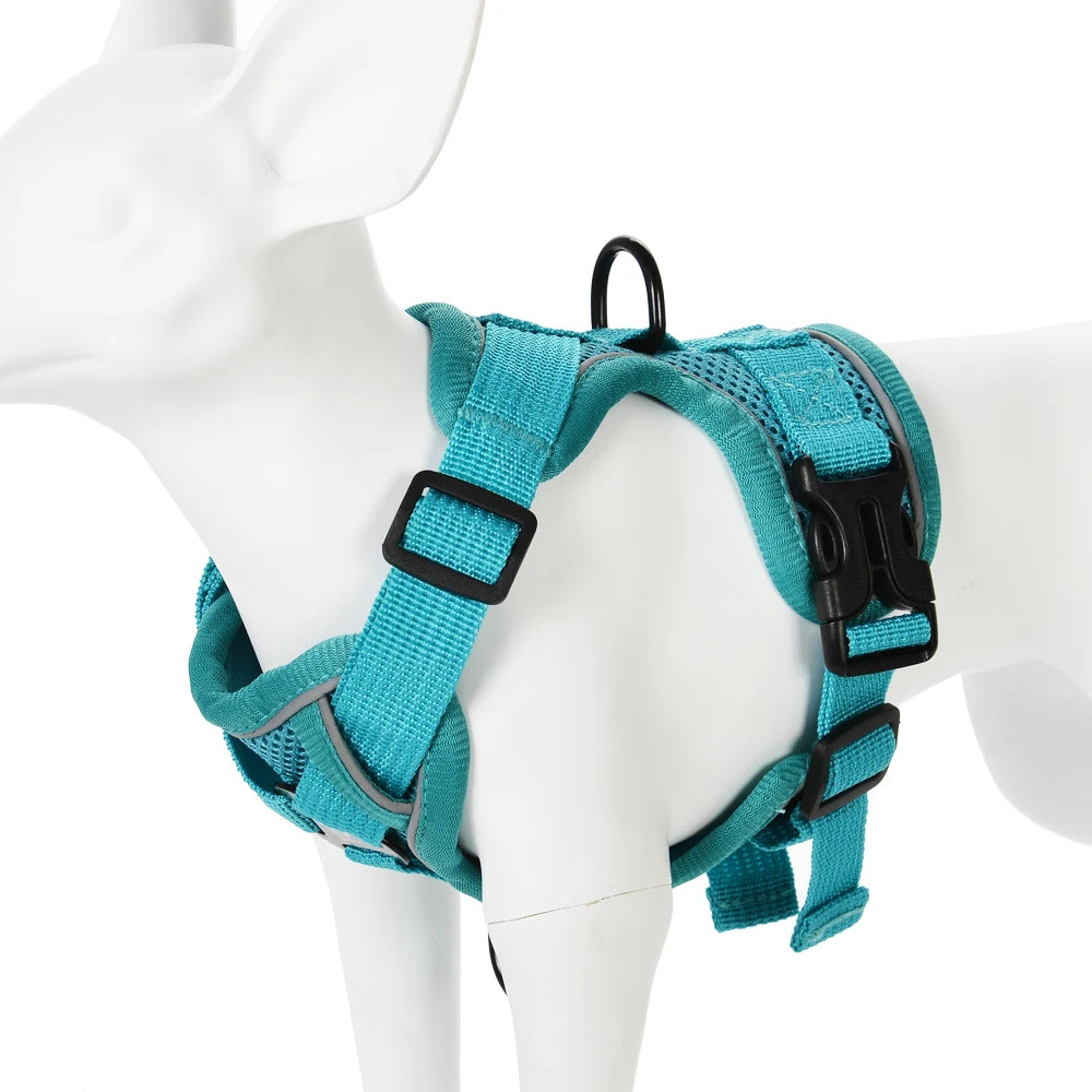 🐶 Ensemble Harnais & Laisse Premium pour Petit Chien