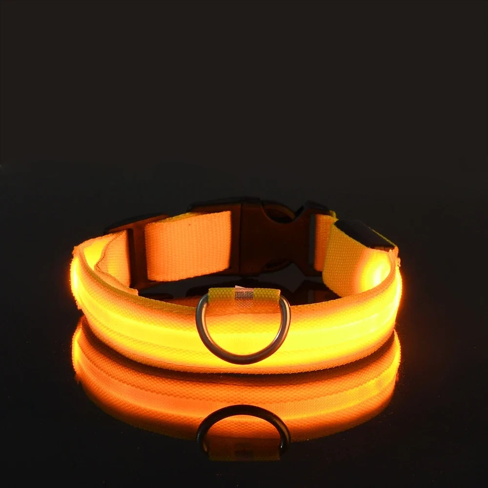 Collier LED lumineux pour chien