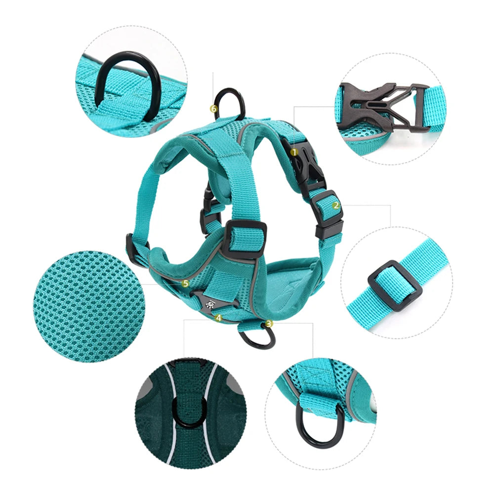 🐶 Ensemble Harnais & Laisse Premium pour Petit Chien