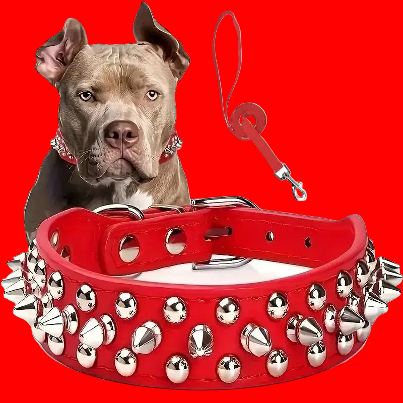Ensemble Collier et Laisse Cloutés pour Chien - Cuir Réglable