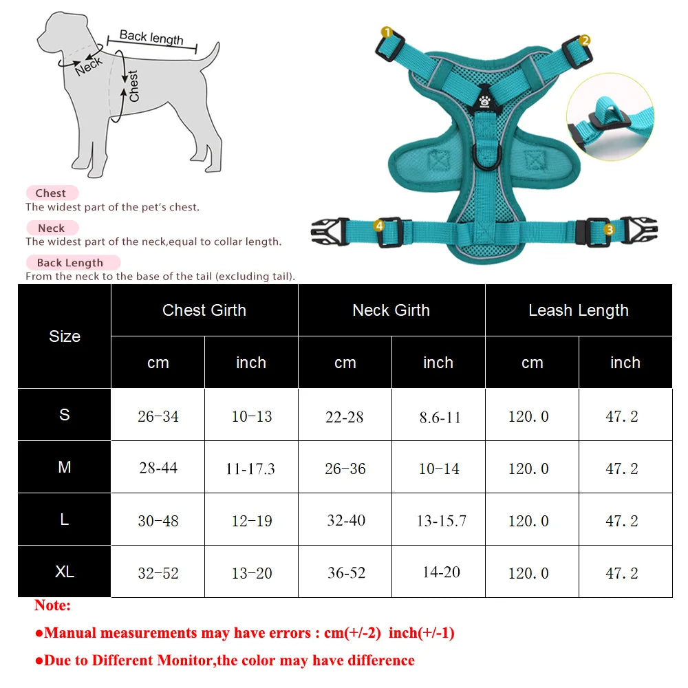 🐶 Ensemble Harnais & Laisse Premium pour Petit Chien