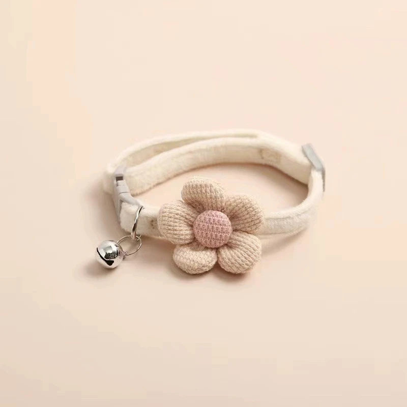 Coloris kaki rose vert bleu du collier chat
