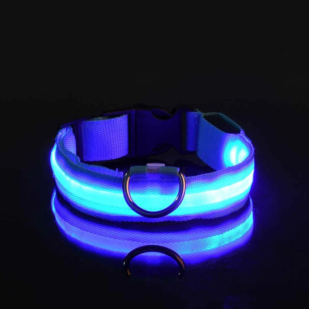 Collier LED Lumineux pour Chien – Visible jusqu'à 500 m