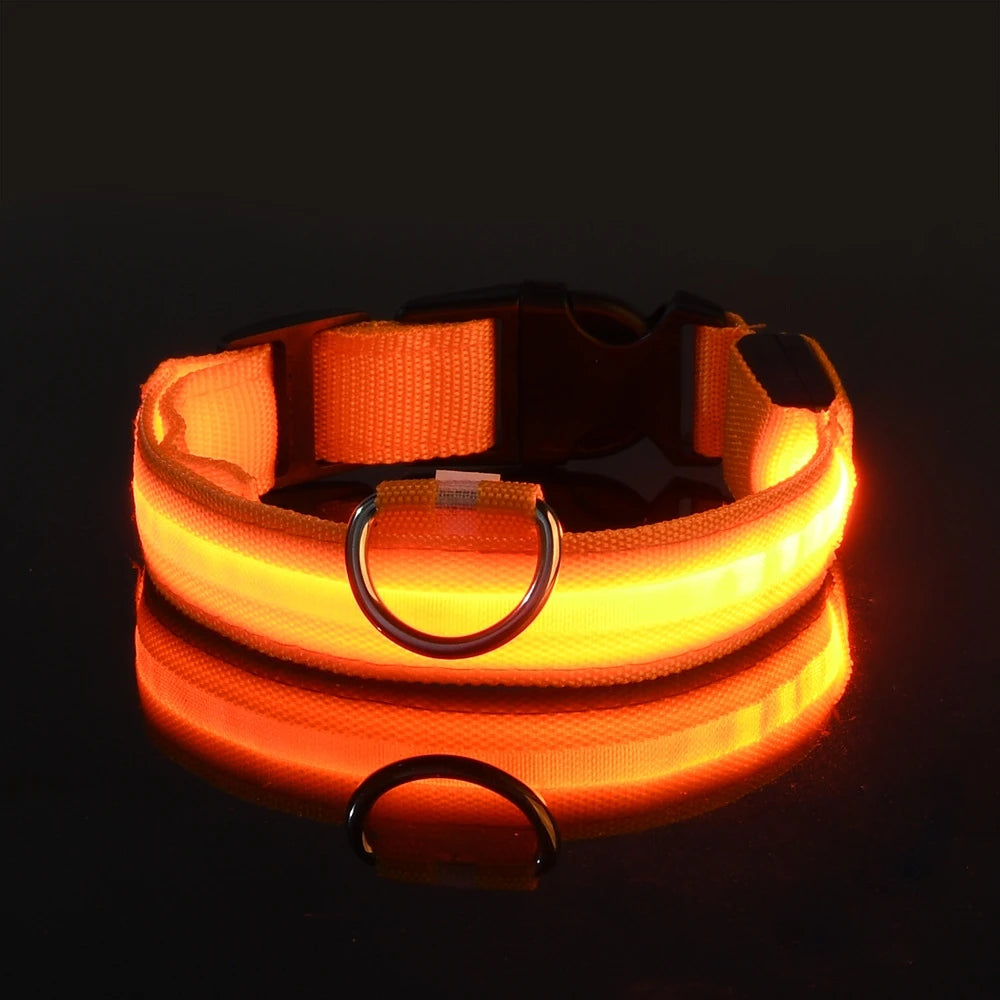 Collier LED Lumineux pour Chien – Visible jusqu'à 500 m