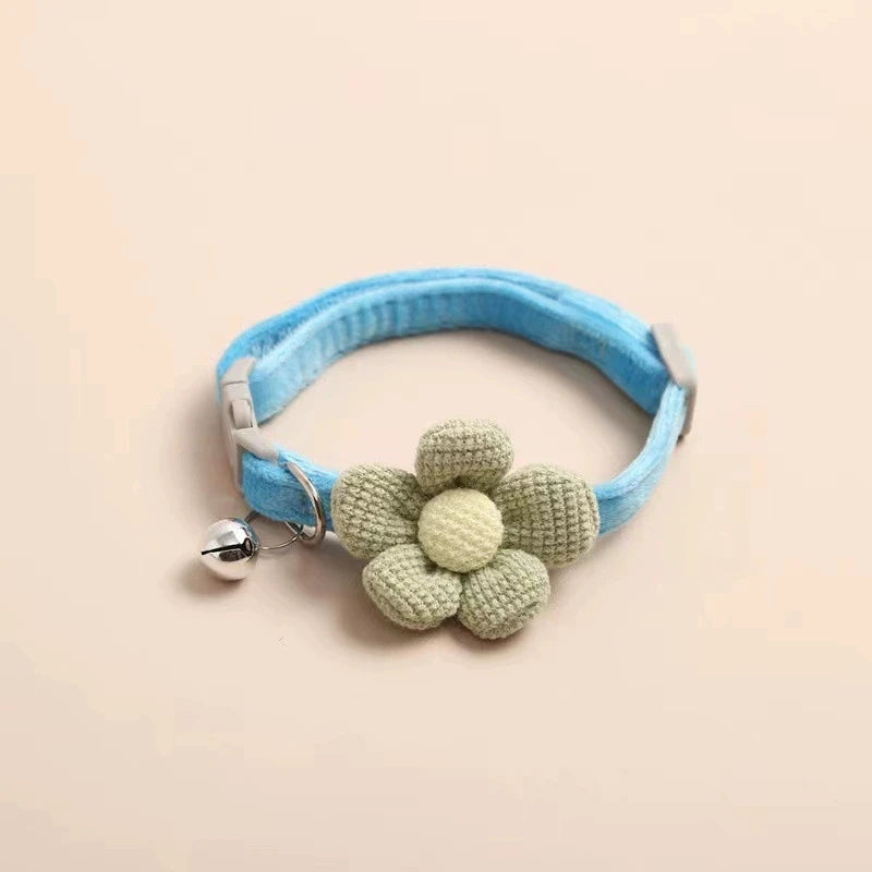 Collier pour chat pose sur fond blanc