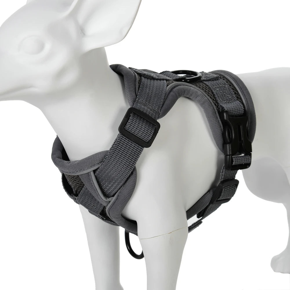 🐶 Ensemble Harnais & Laisse Premium pour Petit Chien