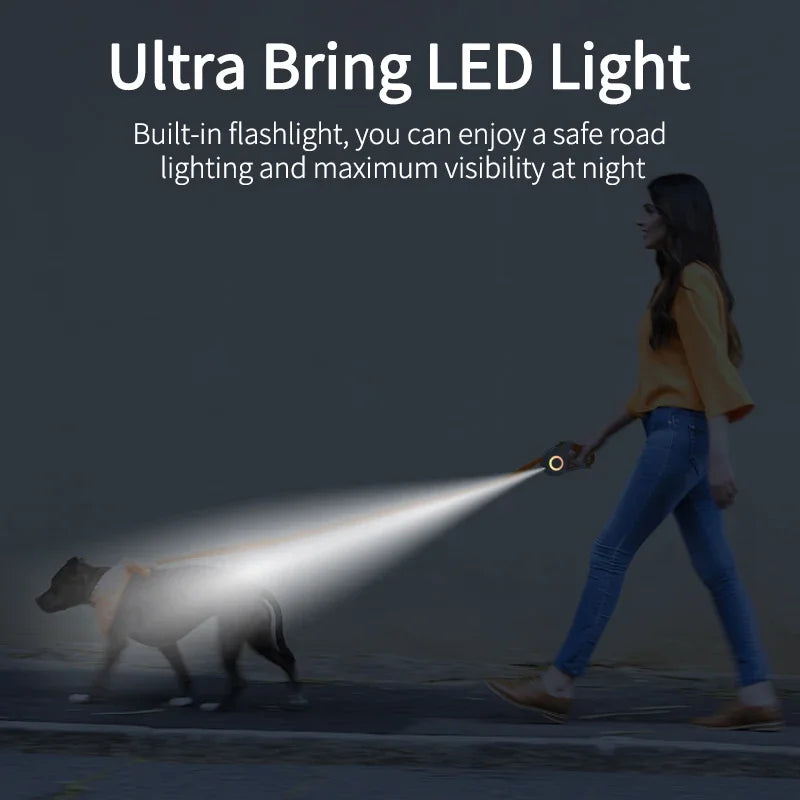 Laisse Rétractable LED Premium pour Chien – 3 ou 5 m | Sécurité & Confort