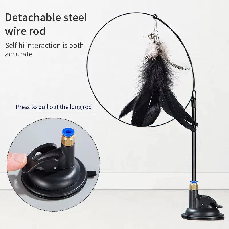 Ventouse de fixation pour jouet chat