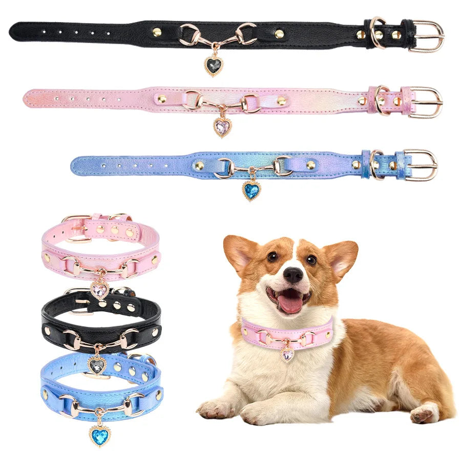 Detail des strass du collier pour chien