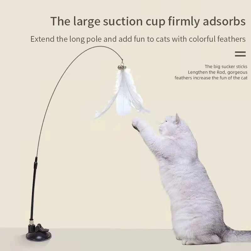 Fil elastique du jouet interactif pour chat