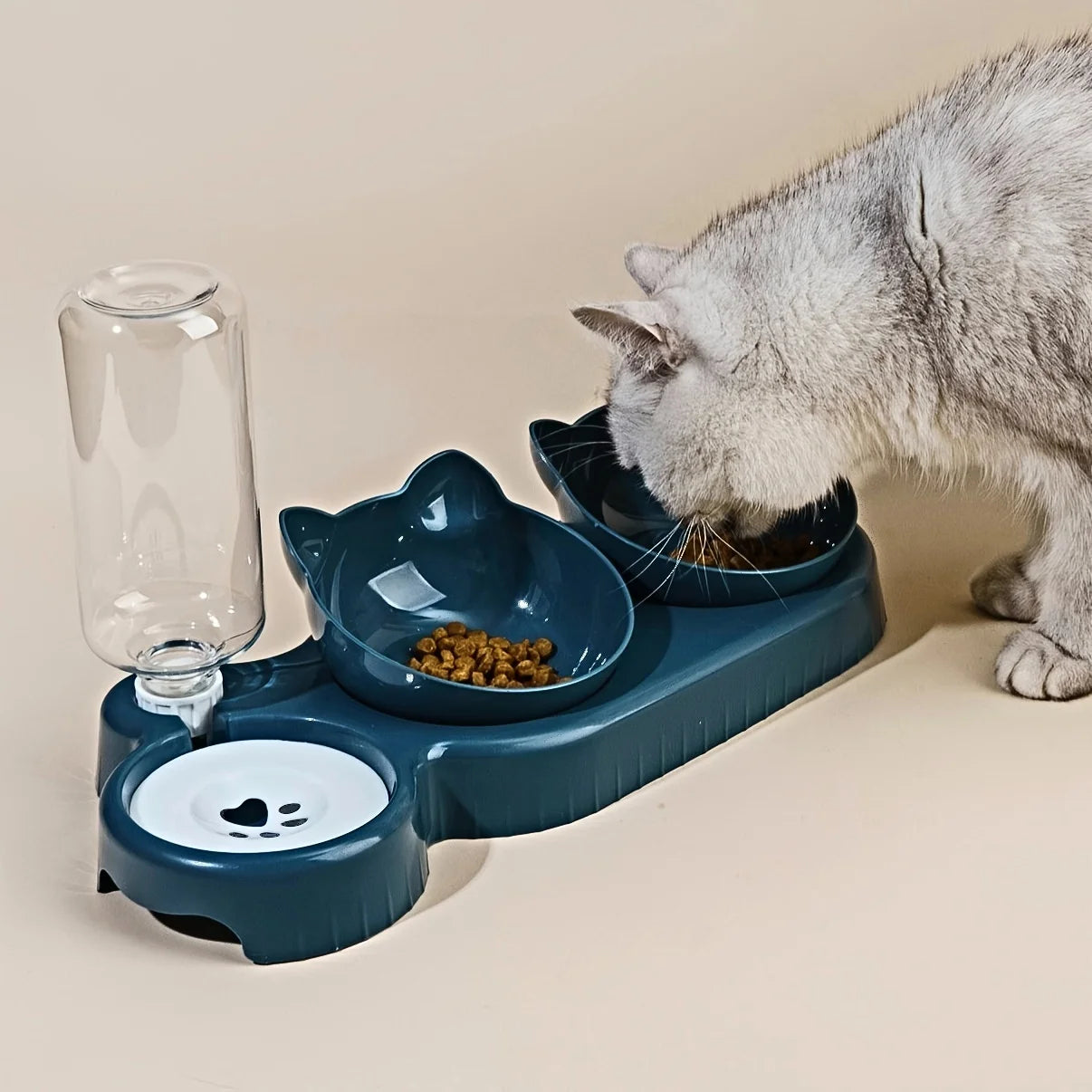 Bol incline design oreilles de chat