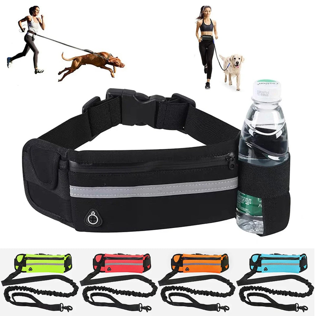 🏃 Laisse Chien Ceinture avec Sac Banane – Rétractable, Réfléchissante & Élastique