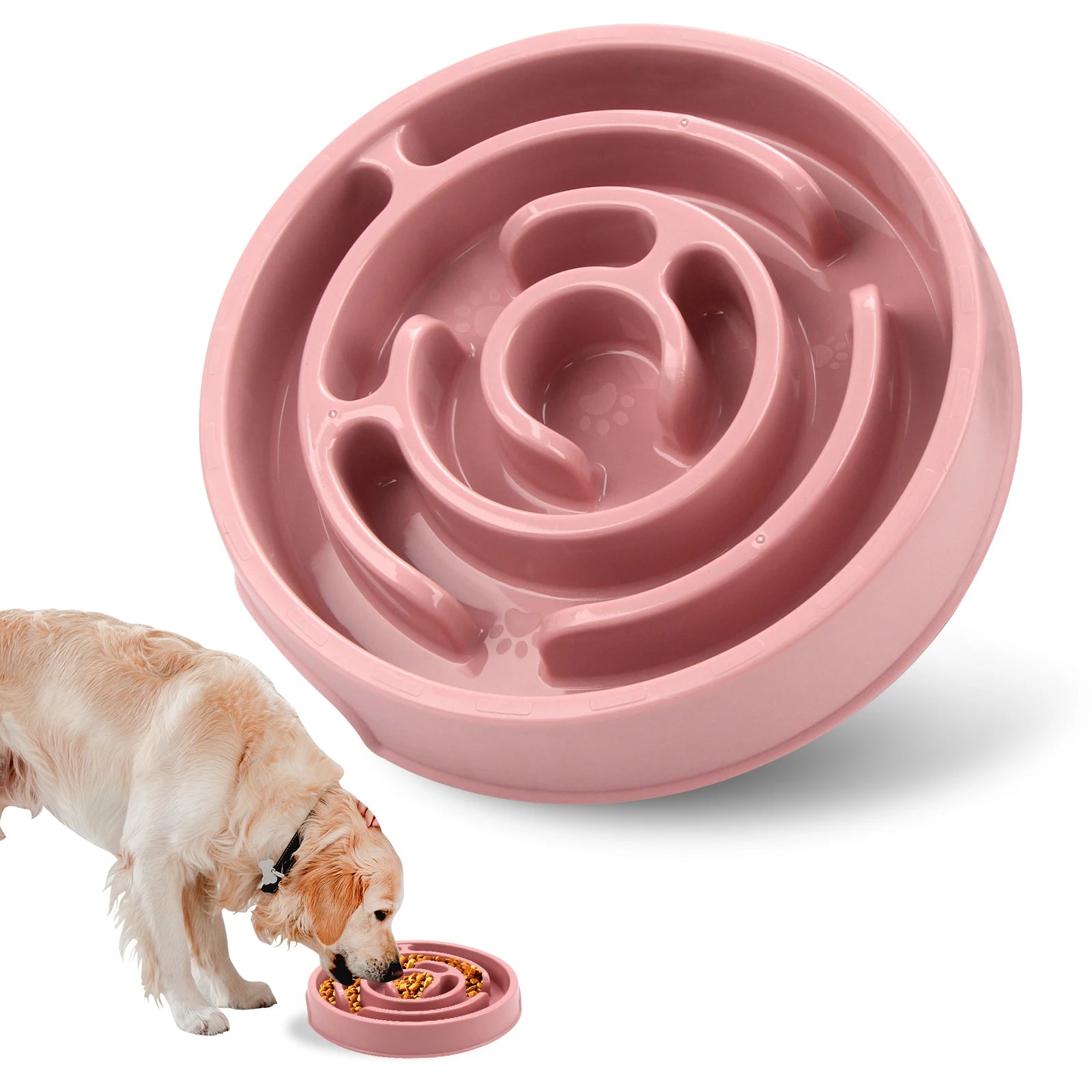 🐶 Gamelle Anti-Glouton pour Chien – Des repas plus lents, une meilleure digestion
