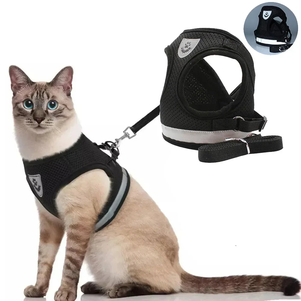 🐱 Harnais & Laisse Anti-Fugue pour Chat