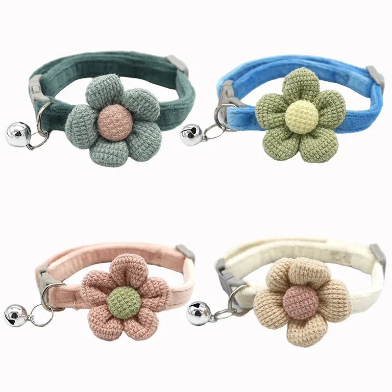 Collier reglable pour chat vue de dos