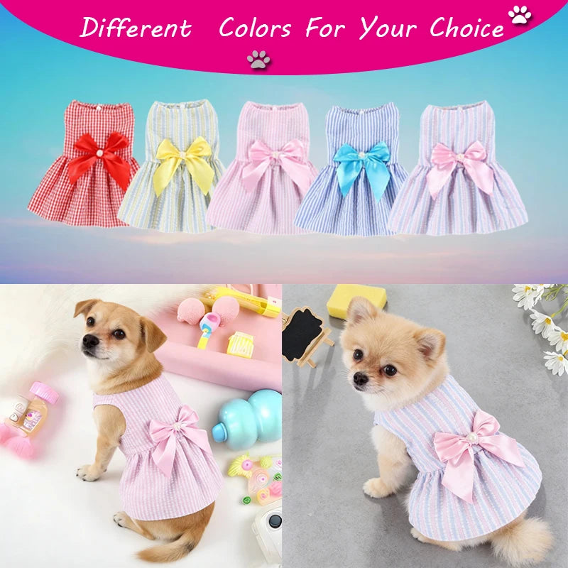 Jupe Fleurie Légère pour Chien et Chat - Style Princesse Été
