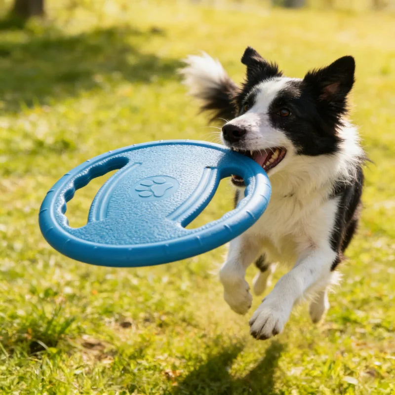 🥏 Disque Volant EVA Résistant pour Chien