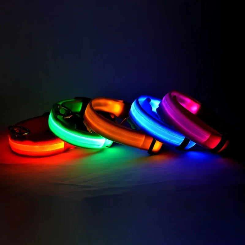 Collier LED Lumineux pour Chien – Visible jusqu'à 500 m