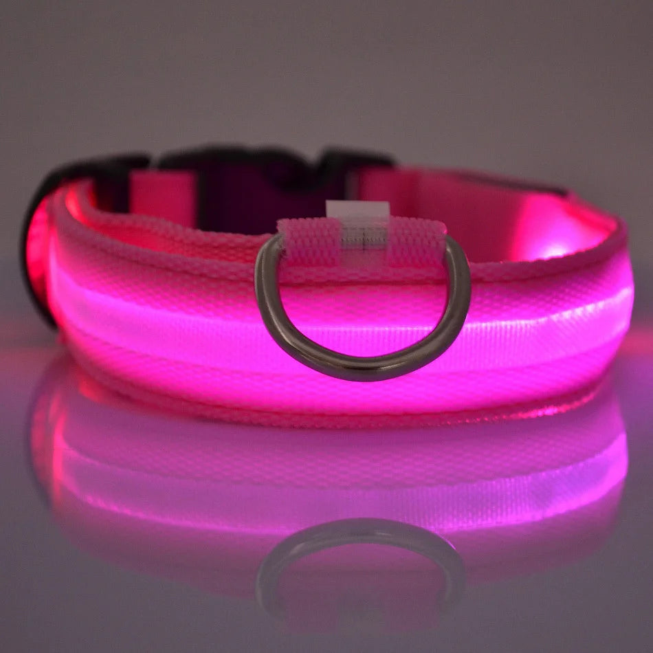 Collier LED Lumineux pour Chien – Visible jusqu'à 500 m