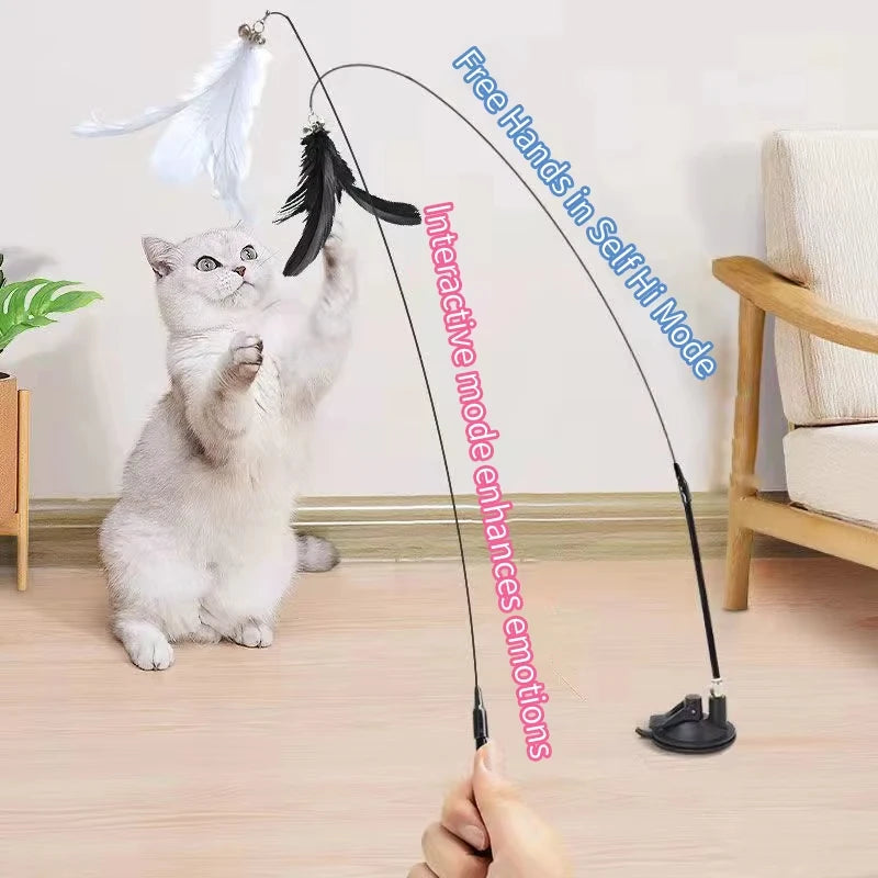 Chat attrapant une plume suspendue
