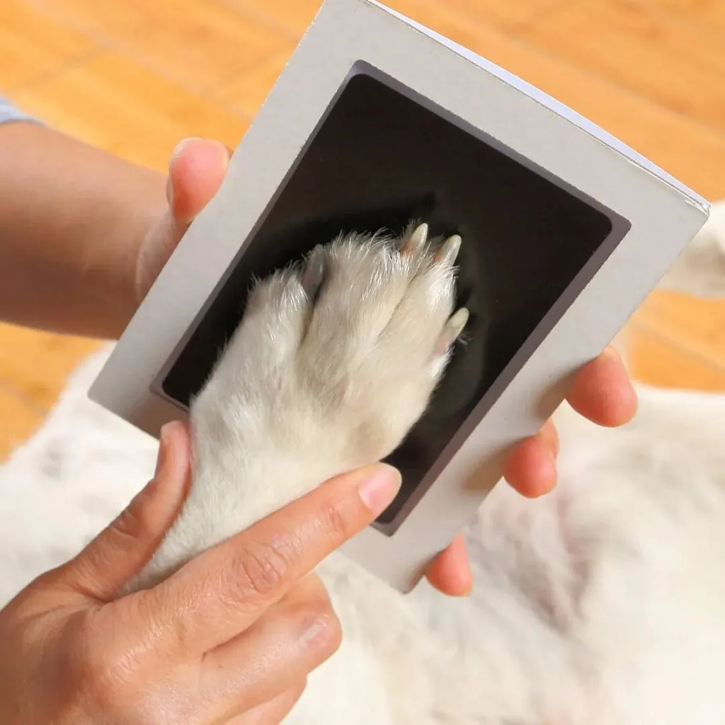 Tampon Encreur Empreinte de Patte pour Chien et Chat - Kit Souvenir Sans Encre